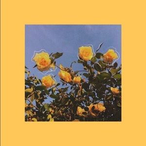 Meet your Posher, Arya